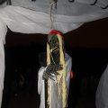 IMG_834030