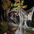 IMG_834124
