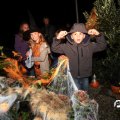 IMG_834145
