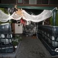 IMG_834152