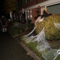 IMG_834197