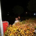 IMG_834219