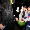 IMG_834333
