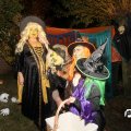 IMG_834334