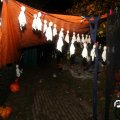 IMG_834348