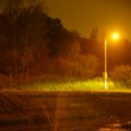 _IGP2535