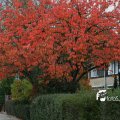IMG_834369