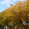 IMG_834397