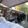 IMG_834411