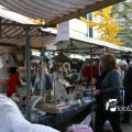 IMG_834412