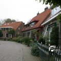 IMG_834435