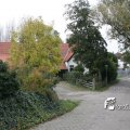 IMG_834437