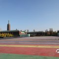IMG_834541