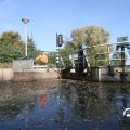 IMG_834554