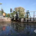 IMG_834556