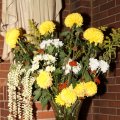 IMG_835501