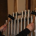 IMG_835443