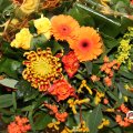 IMG_835614
