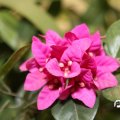 IMG_836792