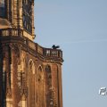IMG_837746