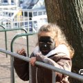 IMG_837774