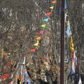 IMG_837943