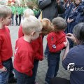 IMG_838866