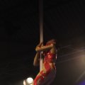 IMG_850095