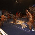 IMG_850145