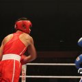 IMG_850205