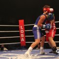 IMG_850288