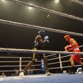 IMG_850331