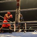 IMG_850347