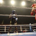 IMG_850351