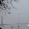IMG_843528