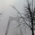 IMG_843529