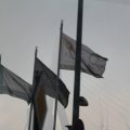 IMG_843537