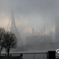IMG_843550