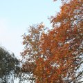 IMG_843561