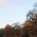 IMG_843564