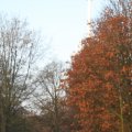 IMG_843570