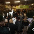 IMG_843885