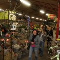 IMG_843995