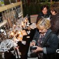 IMG_844021