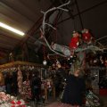 IMG_844134