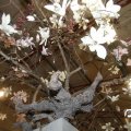 IMG_844281