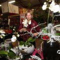 IMG_844341