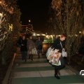 IMG_844591