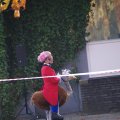 IMGP8671