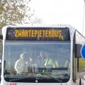 IMGP8740